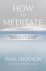 How to Meditate A Practical...