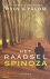 Het raadsel Spinoza