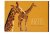 redactie - Artisgids 1947  zoologisch genootschap natura Artis Magistra