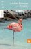 Dominicus landengids - Arub...