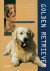 Golden Retriever. Aanschaf,...