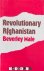Revolutionary Afghanistan