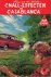 Heide, Willy van der - Cnall-effecten in Casa Blanca - nr. 32