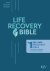 KJV Life Recovery Bible, The