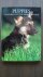 Puppies / A Portrait of the...