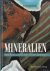 Mineralien. Handbuch und Fü...