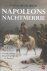Napoleons nachtmerrie 1812:...