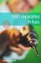  - 1001 reparaties in huis