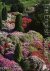 The English Garden. Conceiv...