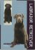 Labrador Retriever. Aanscha...