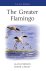 Alan Johnson - Greater Flamingo