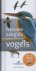 Peter Hayman - Nieuwe zakgids vogels