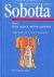 J. Sobotta - Atlas van de menselijke anatomie / 2