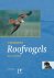 Veldgids Roofvogels / Veldg...