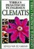 Chesshire C. - Clematis