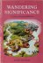 Wandering Significance An E...