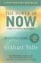 The Power of Now A Guide to...