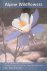 Strickler, Dee - Alpine Wildflowers: Showy Wildflowers of the Alpine and Subalpine Areas of the Rocky Mountain States