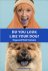 Do You Look Like Your Dog? ...