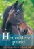 Claudia Jung - Het Oudere Paard