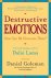 Daniel Goleman - Destructive Emotions - A Scientific Dialogue with the Dalai Lama