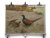 Pheasant rooster + hens. - ...