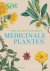 Monique Simmonds; Melanie-Jayne Howes; Jason Irving - Botanisch Handboek Medicinale Planten