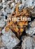 Vanessa Everts  Pauline van Lynden - LIVING IRON
