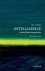 (1) Intelligence: A Very Sh...
