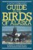 Guide to the Birds of Alaska