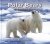 Polar Bears of Spitsbergen ...
