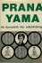 Pranayama De dynamiek der a...