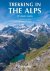 Trekking in the Alps