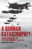 A German Catastrophe? / UvA...