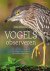 Leander Khil - Handboek vogels observeren