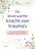 Isabelle Cerf - De onverwachte kracht van trauma's
