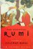 The Essential Rumi New Expa...