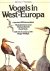 Vogels in West-Europa