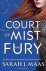 sarah j. maas - Court of thorns and roses (02): court of mist and fury