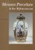 Meissen Porcelain in the Ri...