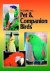 Pet and Companion Birds