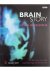 Susan Greenfield - Brain story