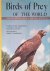 Grossman, Mary Louise & John N. Hamlet - Birds of Prey of the World