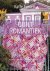 Kaffe Fassett - Quilt Romantiek