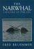 The narwhal unicorn of the sea