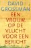 David Grossman & Ruben Verhasselt - Een vrouw op de vlucht voor een bericht