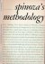 Spinoza's Methodology