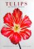 P. Arnold - Tulips