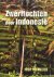 Niemeijer, Joop - Zwerftochten door Indonesië