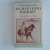 Lewis, wyndham - Journey into Barbary